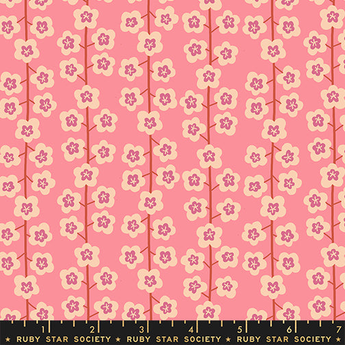Ruby Star Society Corsage - Baby's Breath in Sorbet - PREORDER