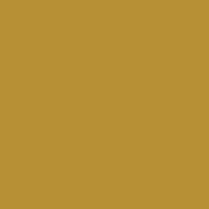 Ruby and Bee Solids in Turmeric