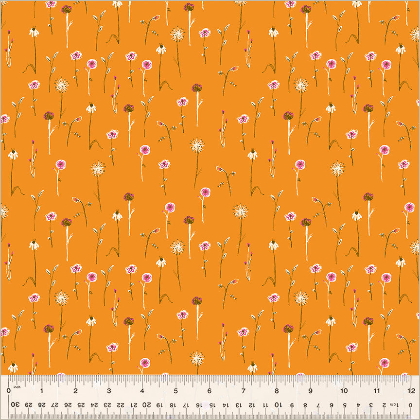 Studio Edit | Wildflowers in Orange