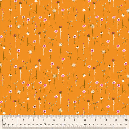 Studio Edit | Wildflowers in Orange