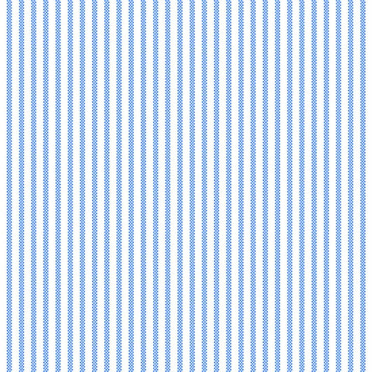 Blue stripe on white 