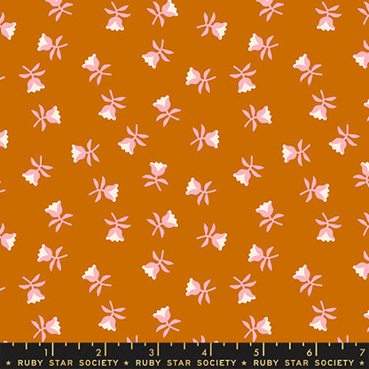 Sweetflower Cinnamon